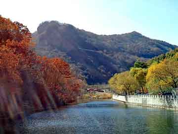 新澳门最精准免费大全，氢氧化钾价格